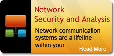 Network Security and Analysis
